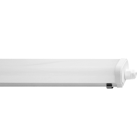 in-Lite