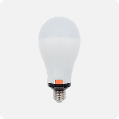 Bulb INB002